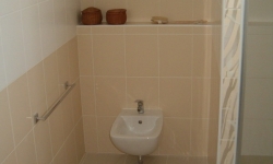 HPIM7101_resize